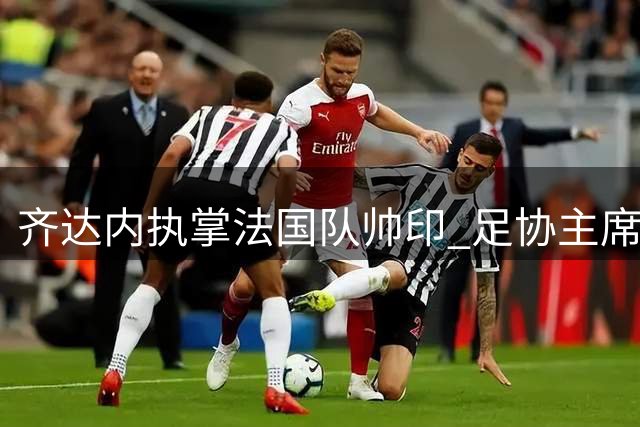 齐达内执掌法国队帅印 足协主席披露签约内幕